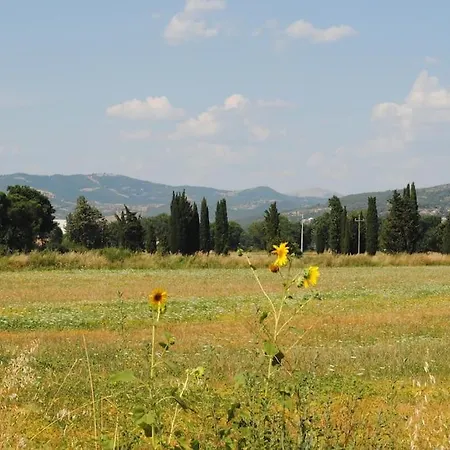 Molini * Magione